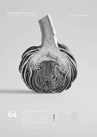 Grayscale Data Visualizations Image 7