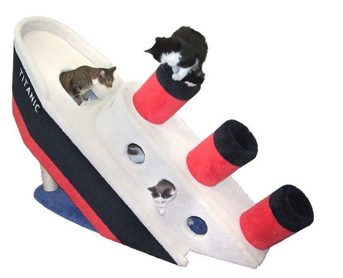 Sinking Feline Abodes