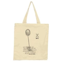 Crowdfunded Urban Forests Image 3