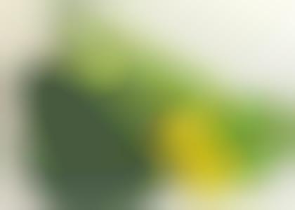 Simple Green Juice Recipes