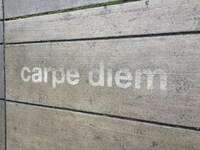 Rain-Activated Street Art Image 8