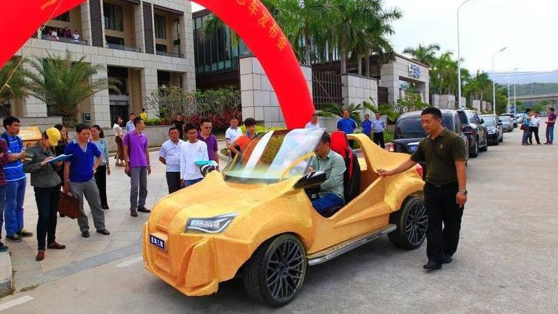 Inexpensive 3D-Printed Cars
