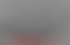 Complacency Blocks Curiosity