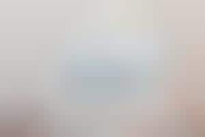microsoft zune video download