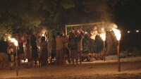 The Dream Island Experience Image 6