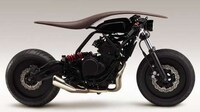 Cross-Pollinated Designs Image 8