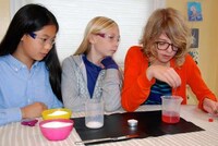 Girl-Targeted Science Kits Image 2