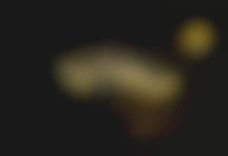 Avian Film Screening Promos