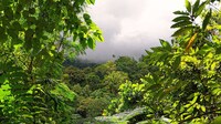Eco-Conscious Country Initiatives Image 2