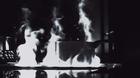 Thermographic Music Videos Image 6