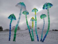 Upcycled Plastic Sculptures Image 8