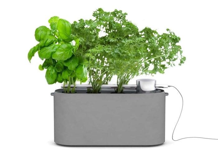 Effortless Gardening Kits