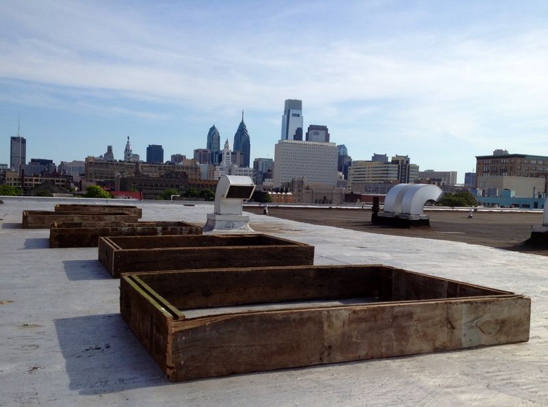 Fruitful Rooftop Gardens