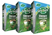 Adaptable Lawn Seeds Image 2