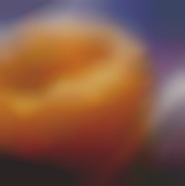 Spicy Beer Cheese Bagels