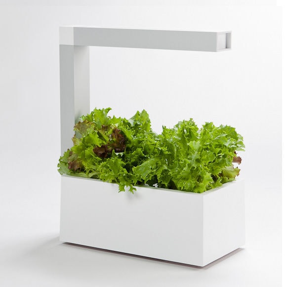 Modern Planting Pods