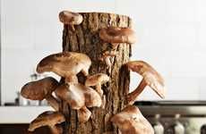 Mushroom Harvesting Logs