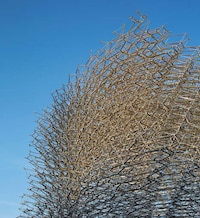 Dizzying Design Pavilions Image 4