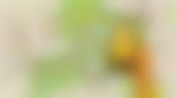 Pet Locator Apps