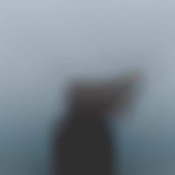 Peacefully Melancholy Photography