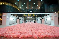 Immersive Fragrance Marketing Image 2