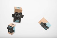 Interactive Monkey Packaging Image 2