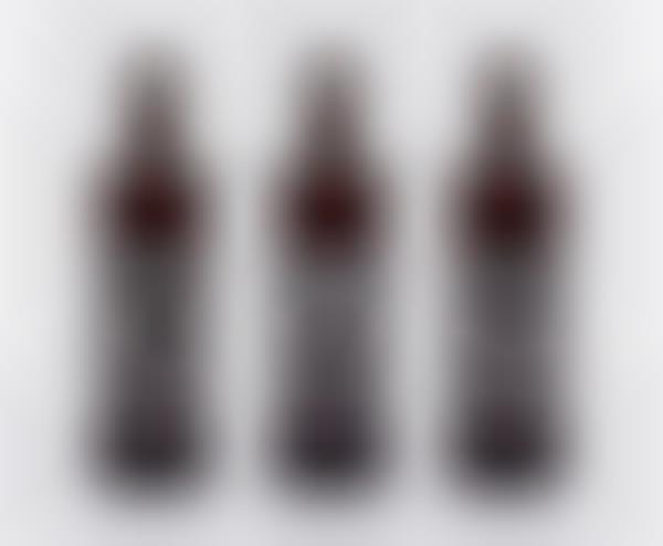 Eclectic Craft Brew Bottles