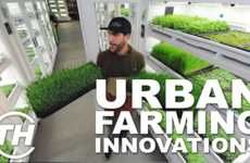 Urban Farming Innovations