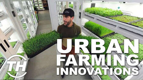 Urban Farming Innovations