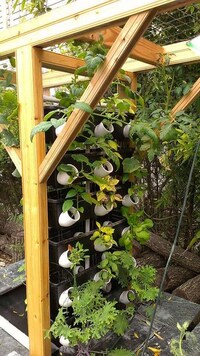 Urban Farming Innovations Image 2