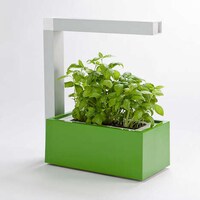 Urban Farming Innovations Image 3
