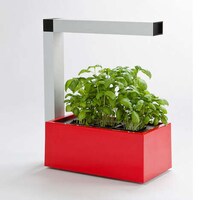 Urban Farming Innovations Image 4