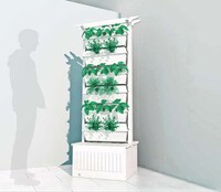 Urban Farming Innovations Image 8