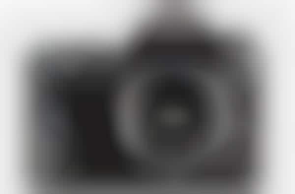 Weather-Resistant Cameras