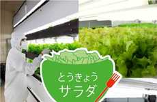 Metro Vegetable Gardens