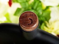 Modern Mediterranean Branding Image 7