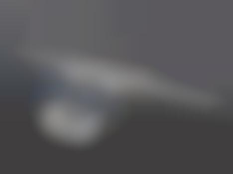 Twin-Fuselage Carplanes