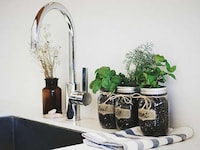 DIY Mason Jar Gardens Image 2