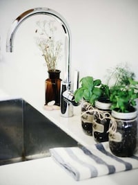 DIY Mason Jar Gardens Image 3