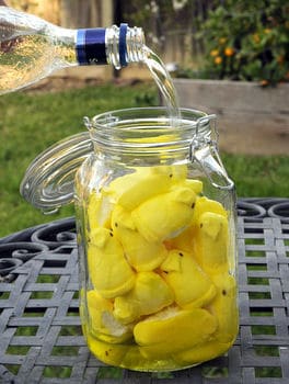 18 DIY Single-Serving Solutions