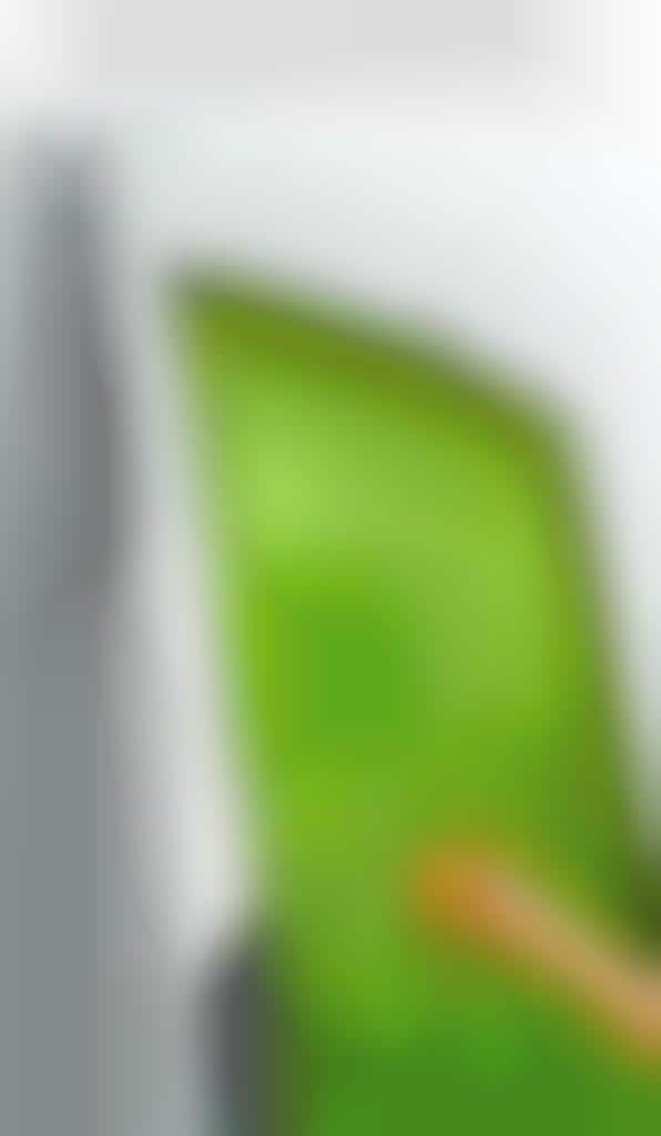 Energy-Saving Refrigerators