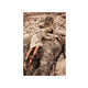 Entangled Mermaid Editorials Image 8