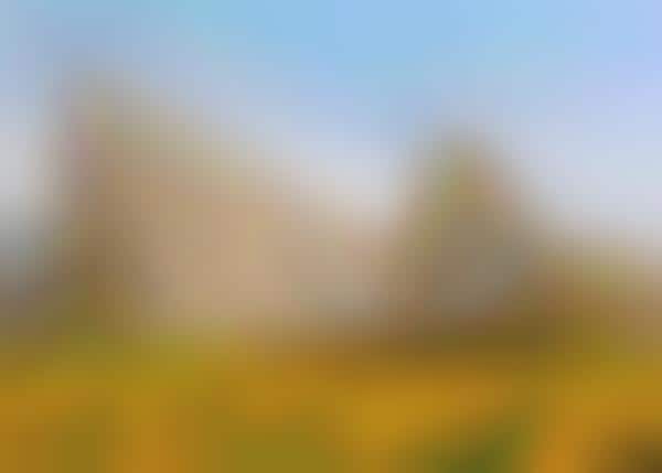 Landscape-Mimicking Rooftops