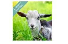 Goat Landscaper Services