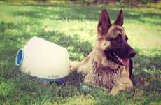 Fetch-Playing Gadgets