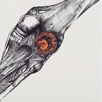 Chocolate Anatomy Illustrations Image 3