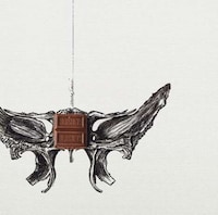 Chocolate Anatomy Illustrations Image 4