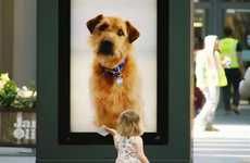 Pet Adoption Beacon Ads