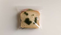 Faux Mold Packaging Image 2