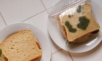 Faux Mold Packaging Image 3